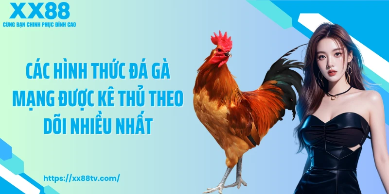 Các hình thức đá gà mạng được kê thủ theo dõi nhiều nhất