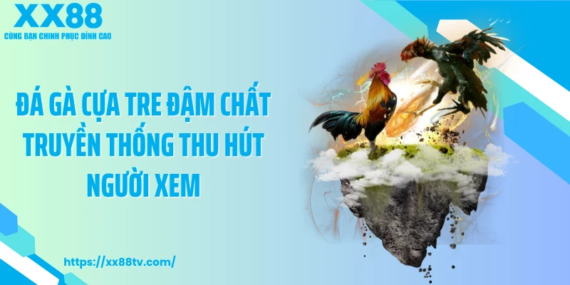 Đá gà cựa tre đậm chất truyền thống thu hút người xem
