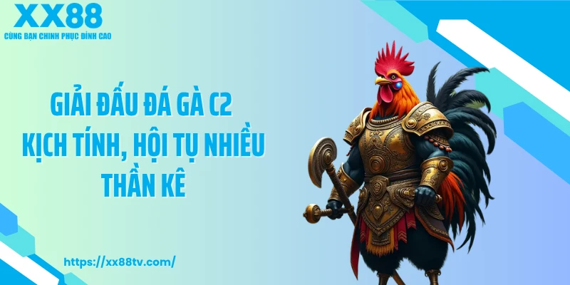 Giải đấu đá gà C2 kịch tính, hội tụ nhiều thần kê