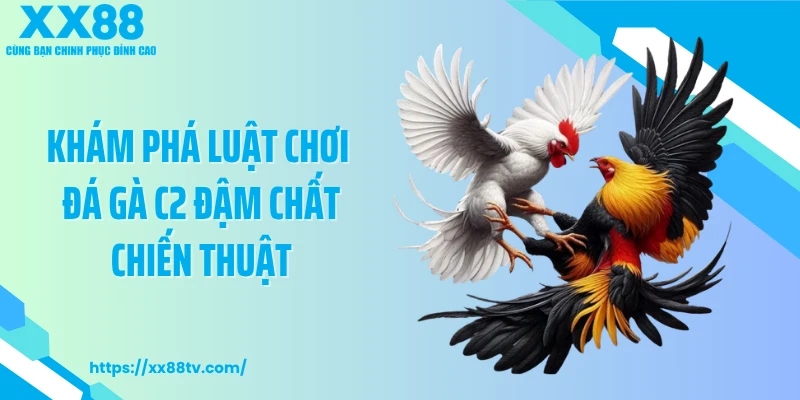 Khám phá luật chơi đá gà C2 đậm chất chiến thuật