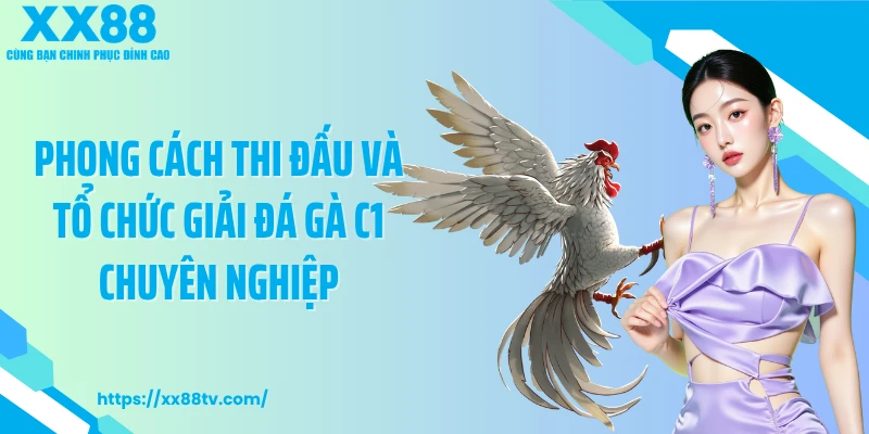 Phong cách thi đấu và tổ chức giải đá gà C1 chuyên nghiệp